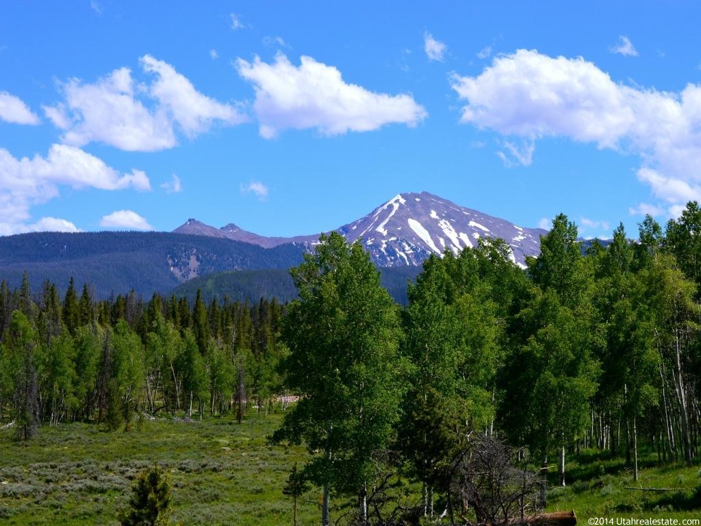 1092 Monviso Trl #4, Kamas, UT 84036