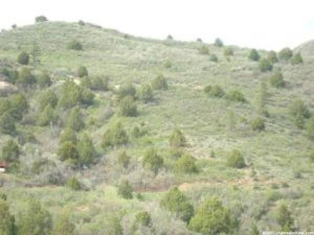 #2, Virgin, UT 84779