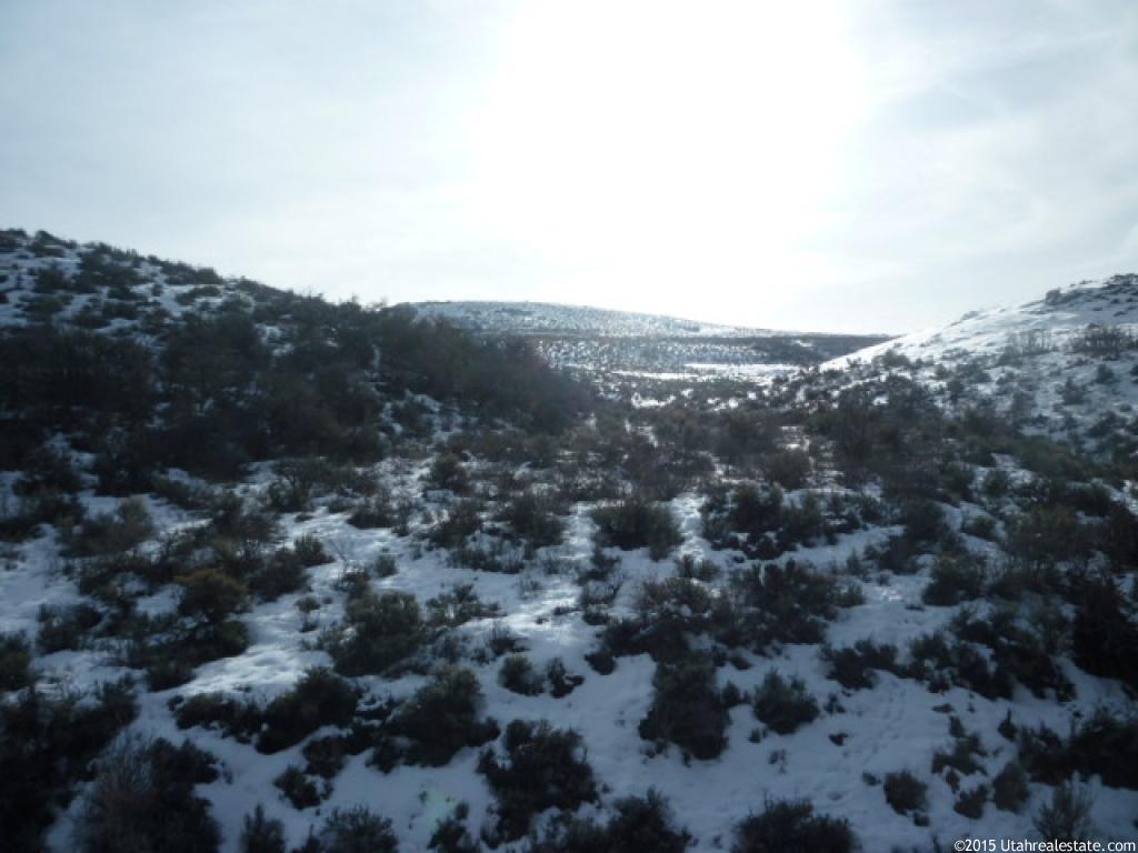77 Browns Cyn #77, Peoa, UT 84061