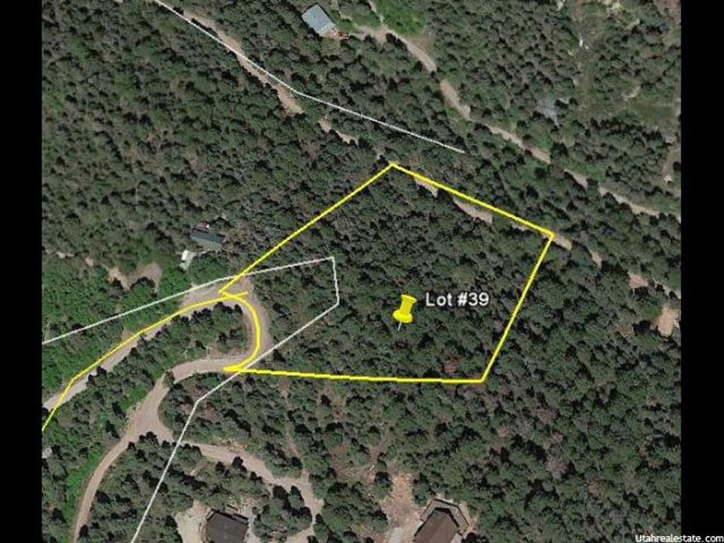 #39, Mt Pleasant, UT 84647