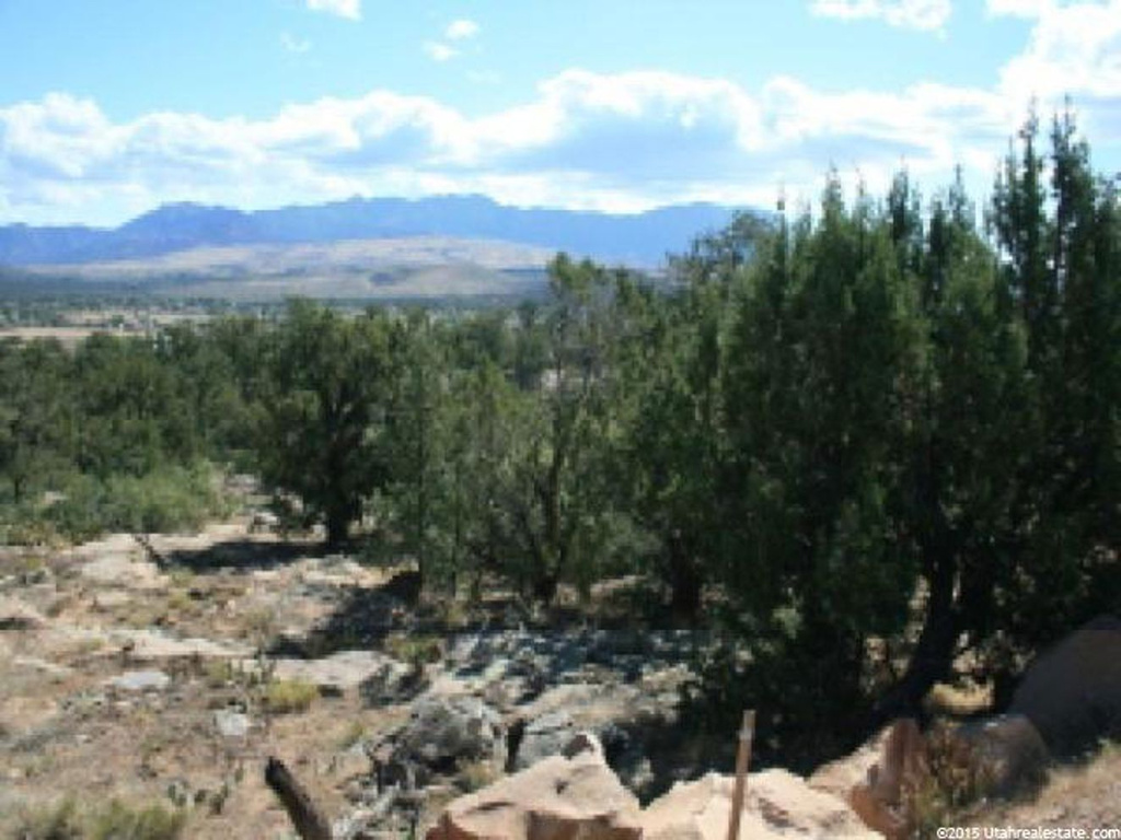 #61, Dammeron Valley, UT 84783