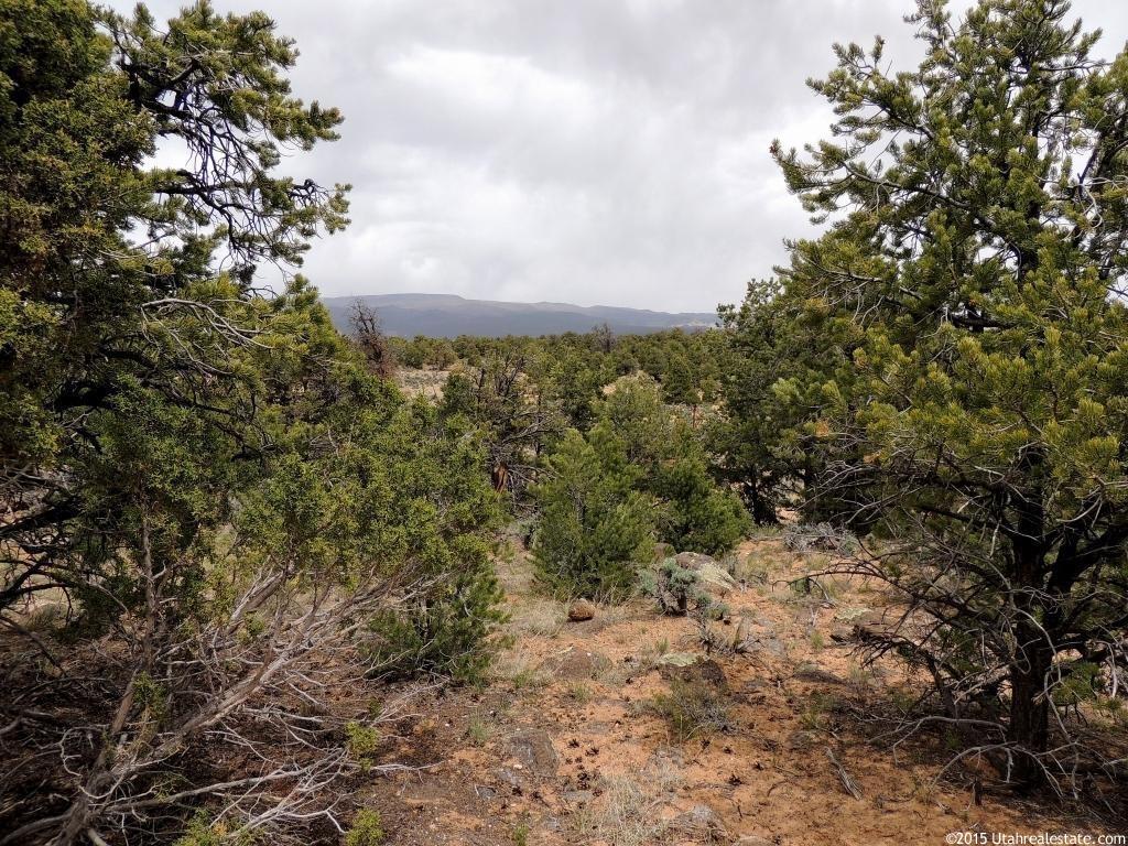 2185 E Broken Branch Dr N #29, Boulder, UT 84716