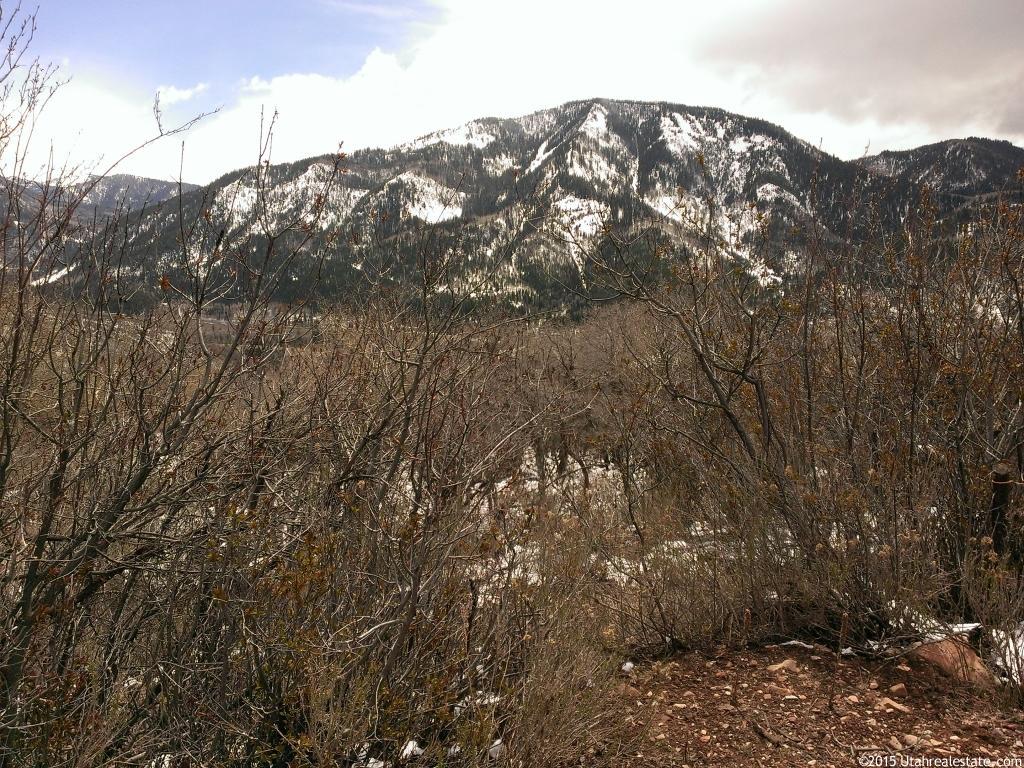 110 Sunrise #110, Oakley, UT 84055