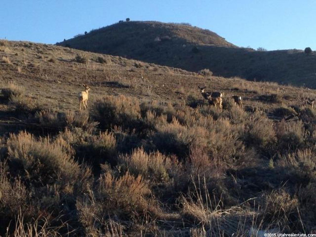 13151 E High Pine Cir, Huntsville, UT 84317