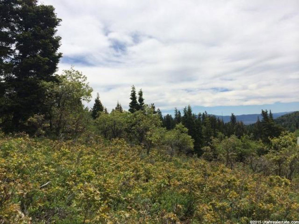 140 Tollgate #140, Wanship, UT 84017