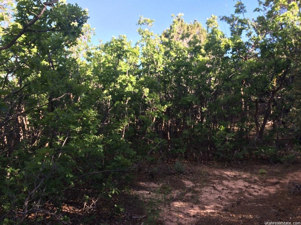 #6, Tabiona, UT 84072