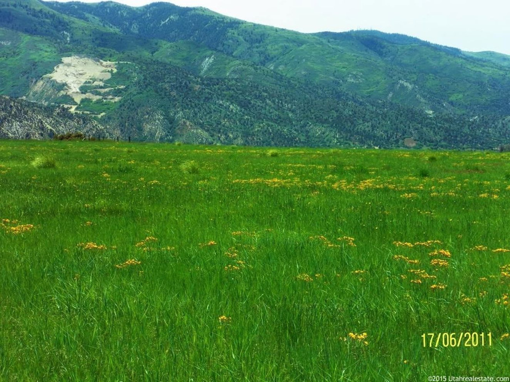 800 N 500 E, Levan, UT 84639