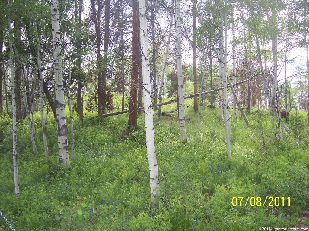 5990 Forest #834, Kamas, UT 84036