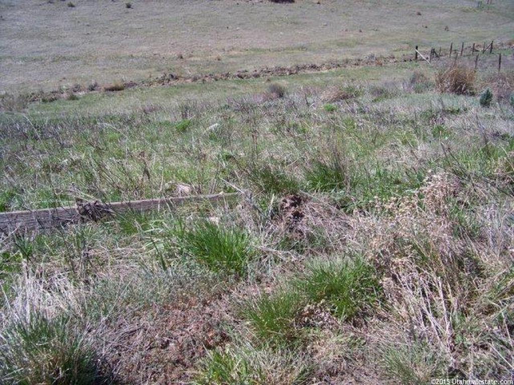 1605 Lower Bern Rd, Bern, ID 83220