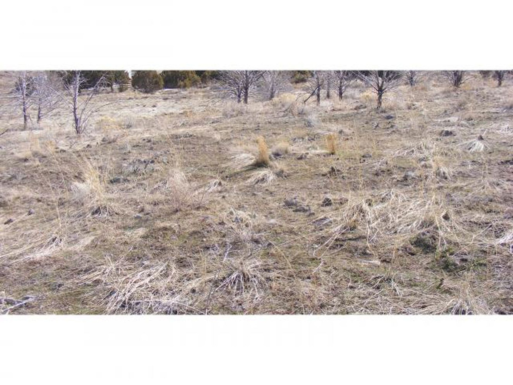 #4948, Scipio, UT 84656