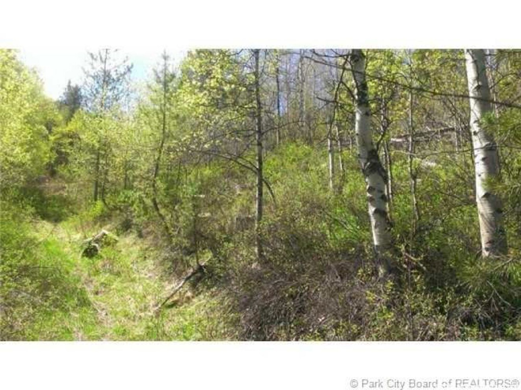 32 River Vu Dr #32, Oakley, UT 84055