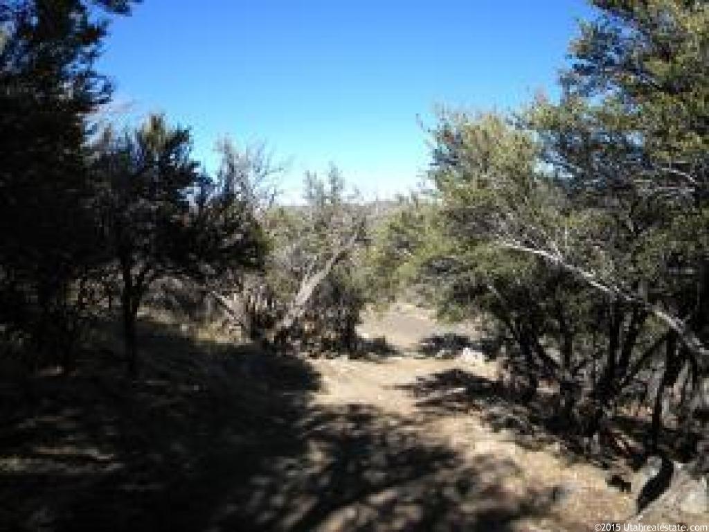 Pine Valley, UT 84781