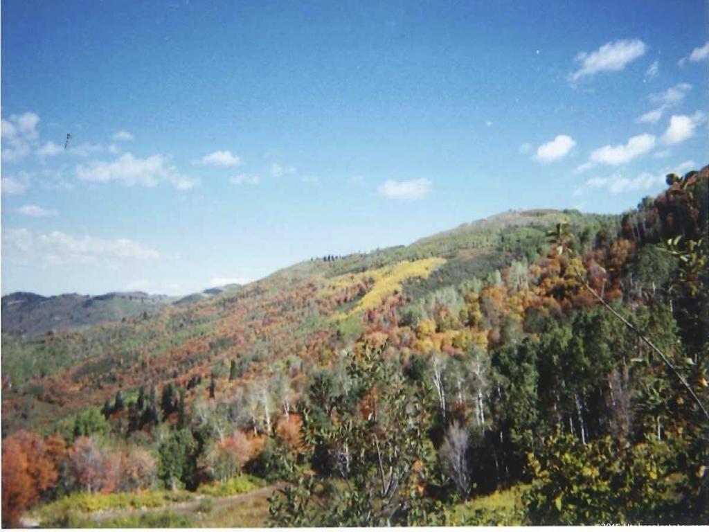 #J88, Fairview, UT 84629