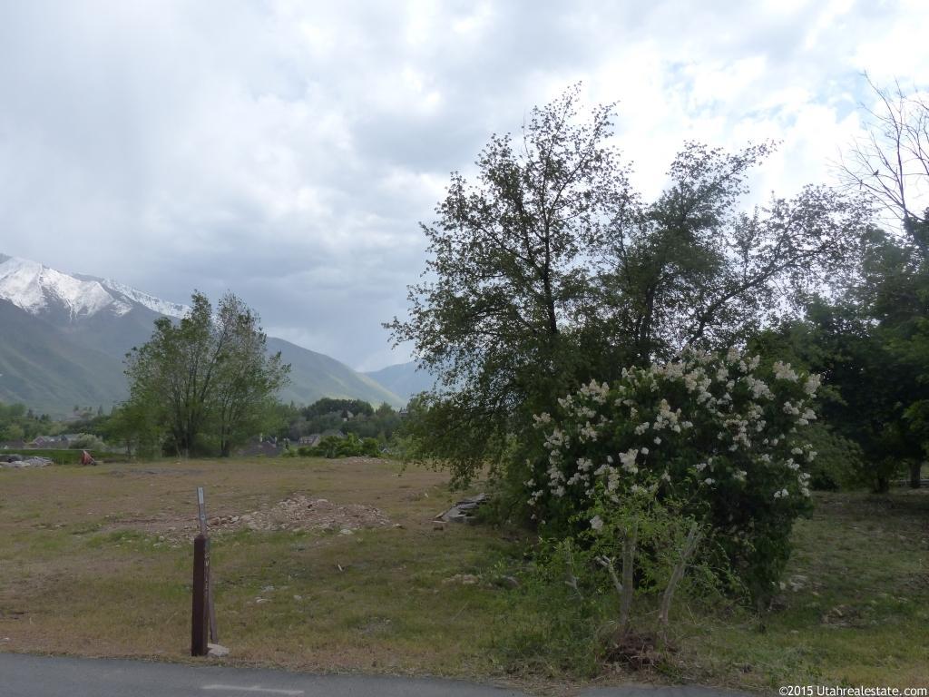 2270 E Canyon Rd #2, Springville, UT 84663