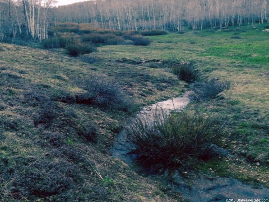 Midway, UT 84049