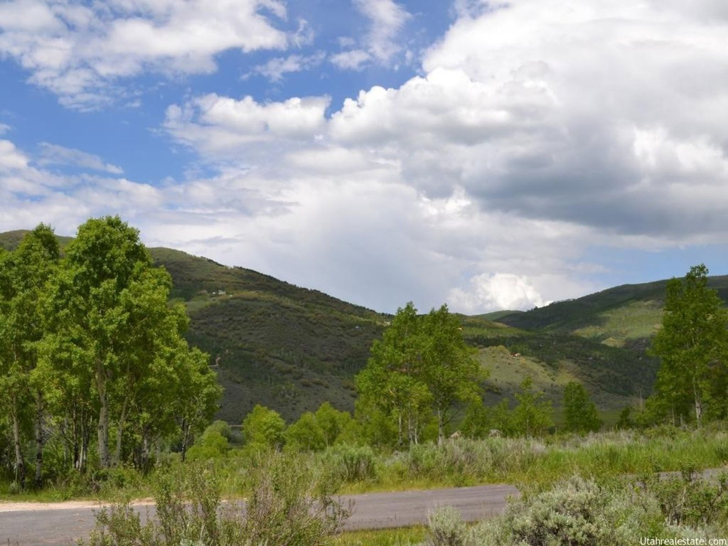 720 Conifer Dr, Oakley, UT 84055