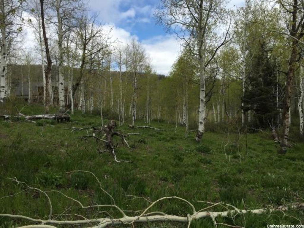 2012 W Modoc Loop S #61, Wanship, UT 84017