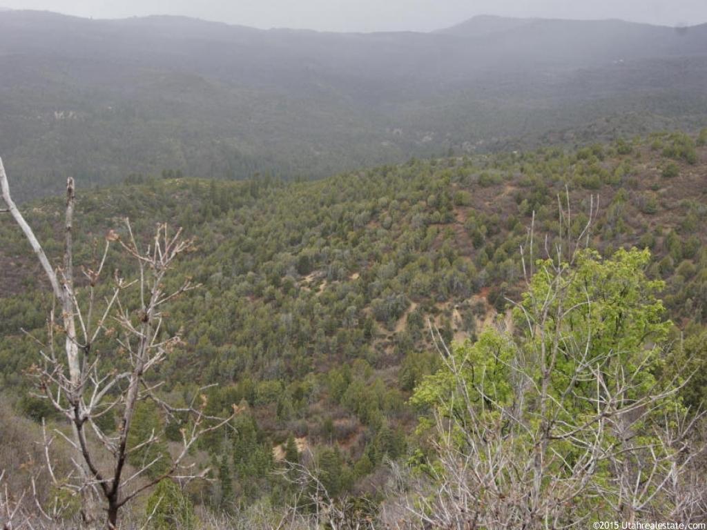 Oak Valley Rd, Virgin, UT 84779