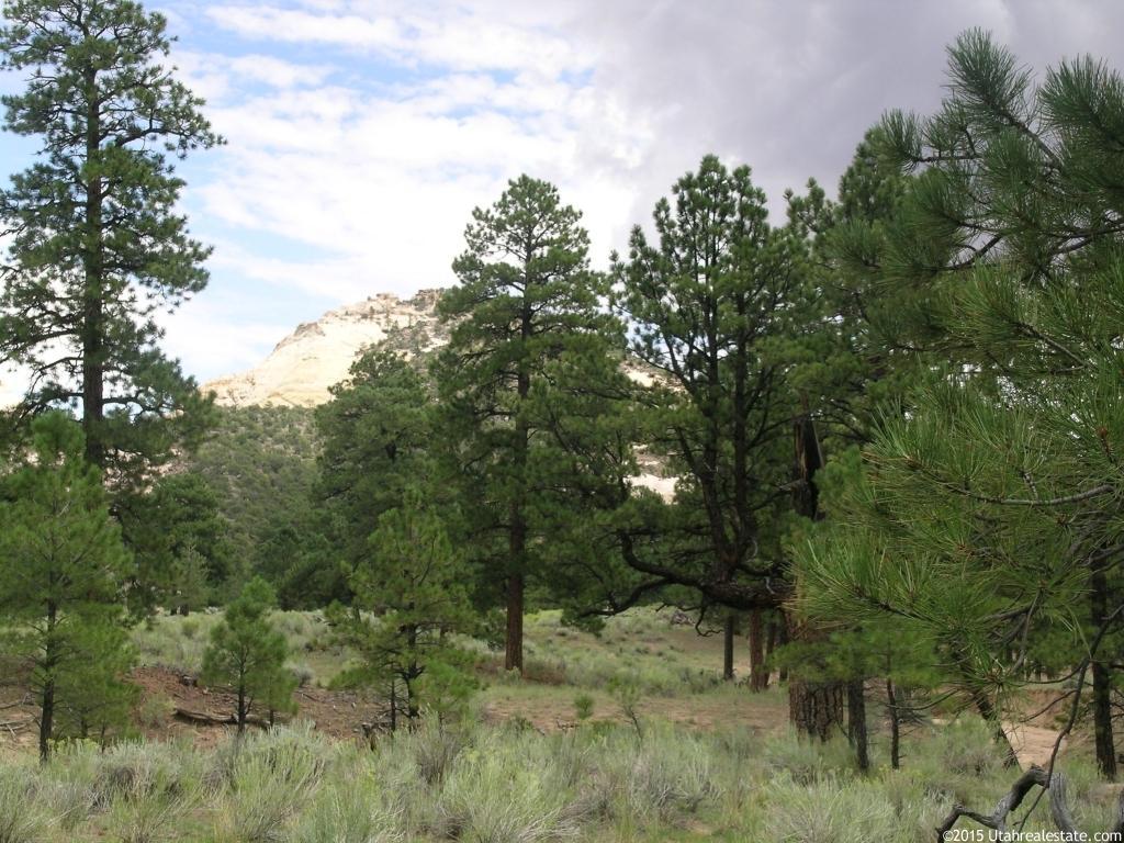 2000 S Happy Valley Rd E #3, Grover, UT 84773