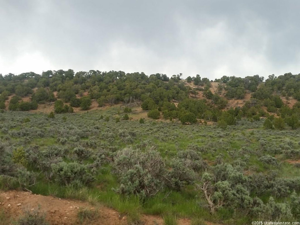 #268, Fruitland, UT 84027