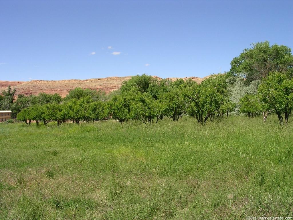 603 E Peach Path #11, Moab, UT 84532