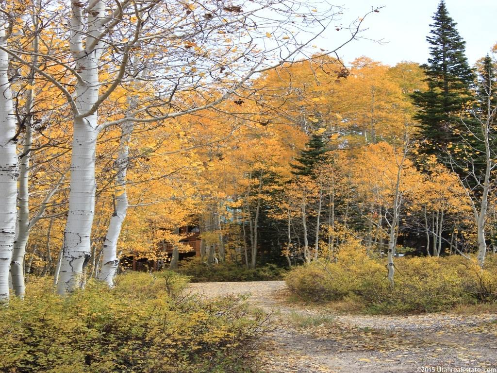 #172, Fairview, UT 84629