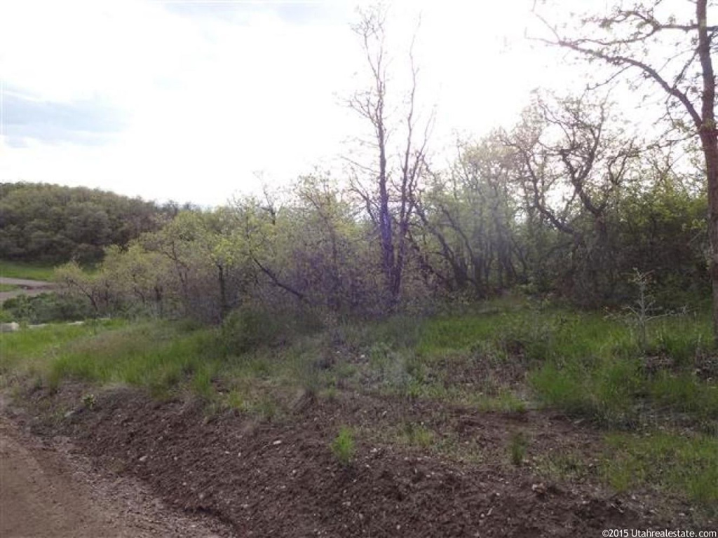 13385 E Juniper Dr #M-89, Fairview, UT 84629