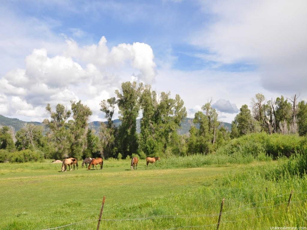 Oakley, UT 84055