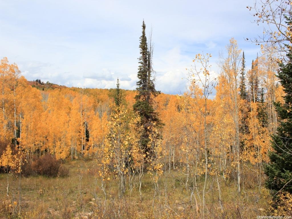 #10, Fairview, UT 84629