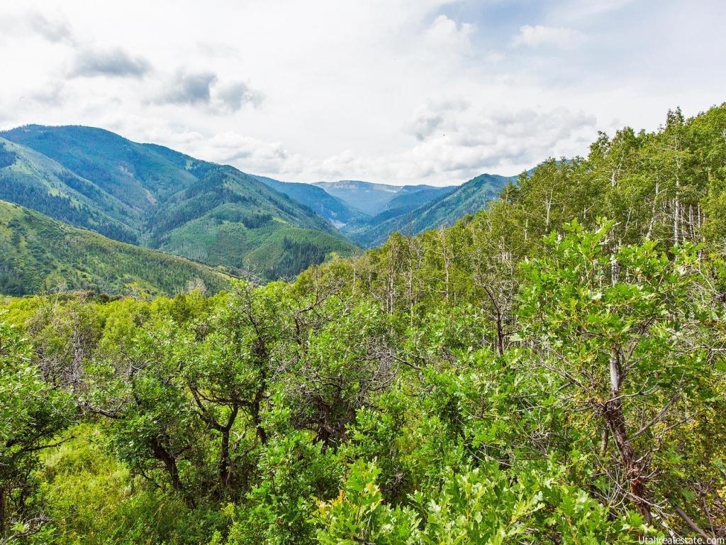 4401 Weber Canyon Rd, Oakley, UT 84055