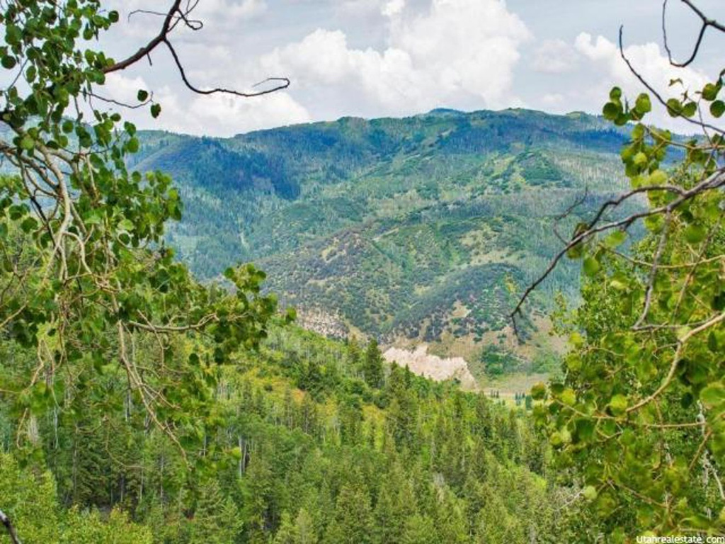 4402 Weber Canyon Rd, Oakley, UT 84055