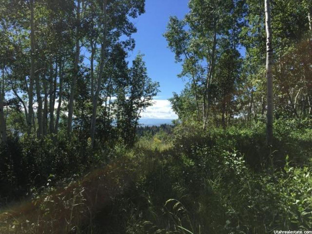 2016 River Birch Rd #I-5, Wanship, UT 84017