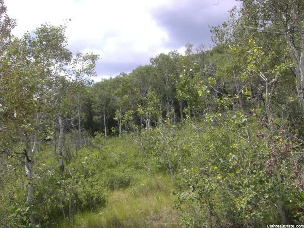 29 E Colter N #29, Oakley, UT 84055