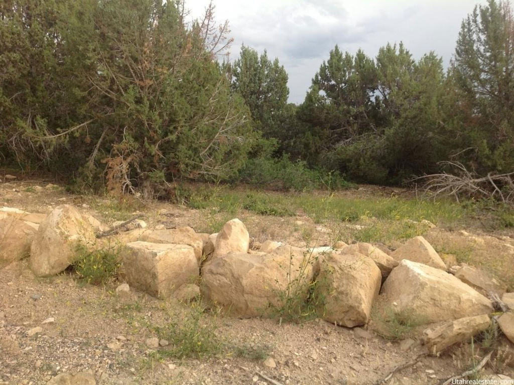 12820 E Juniper Dr #B-38, Fairview, UT 84629