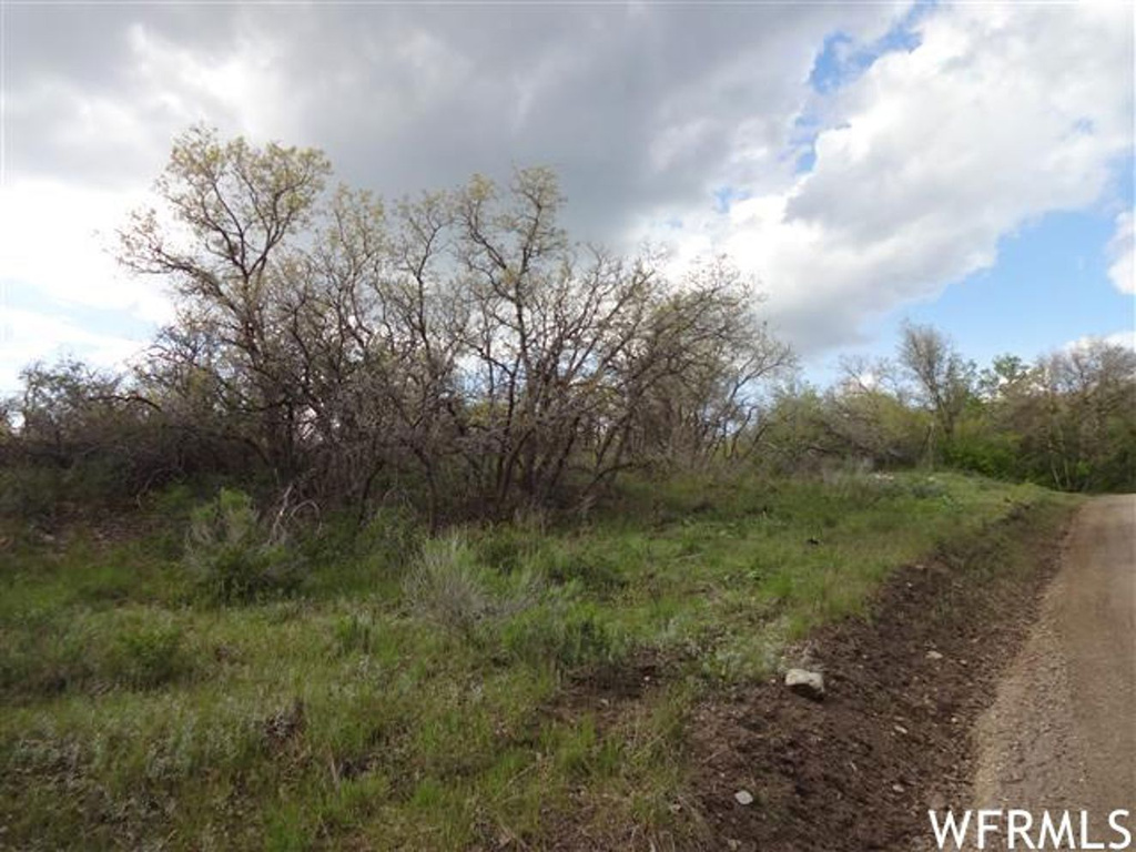 13385 E Juniper Dr #M-89, Fairview, UT 84629