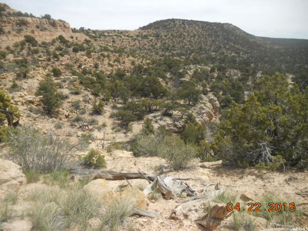 #4, Talmage, UT 84073