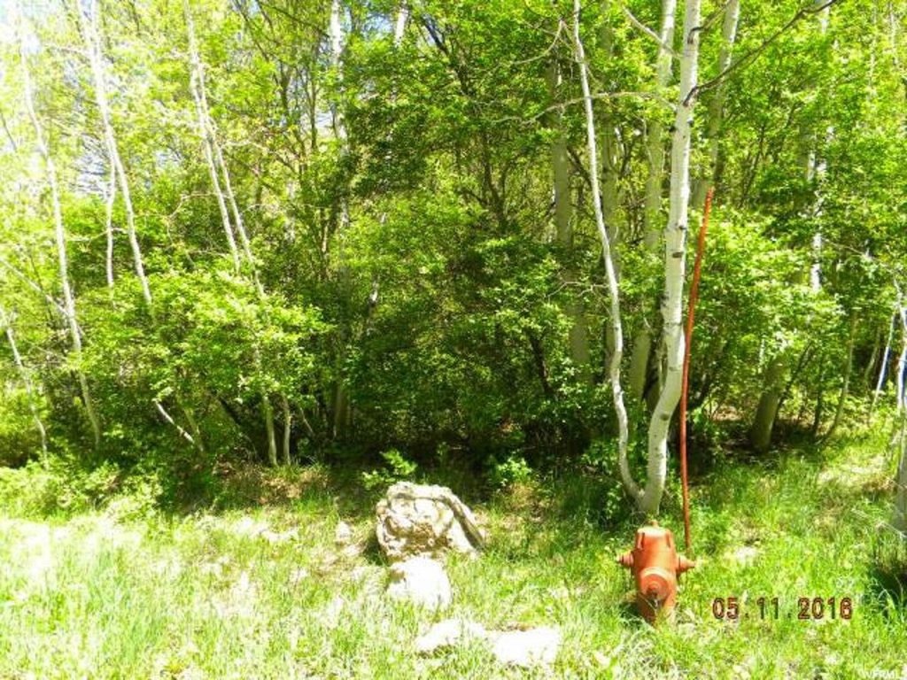 #35, Spanish Fork, UT 84660