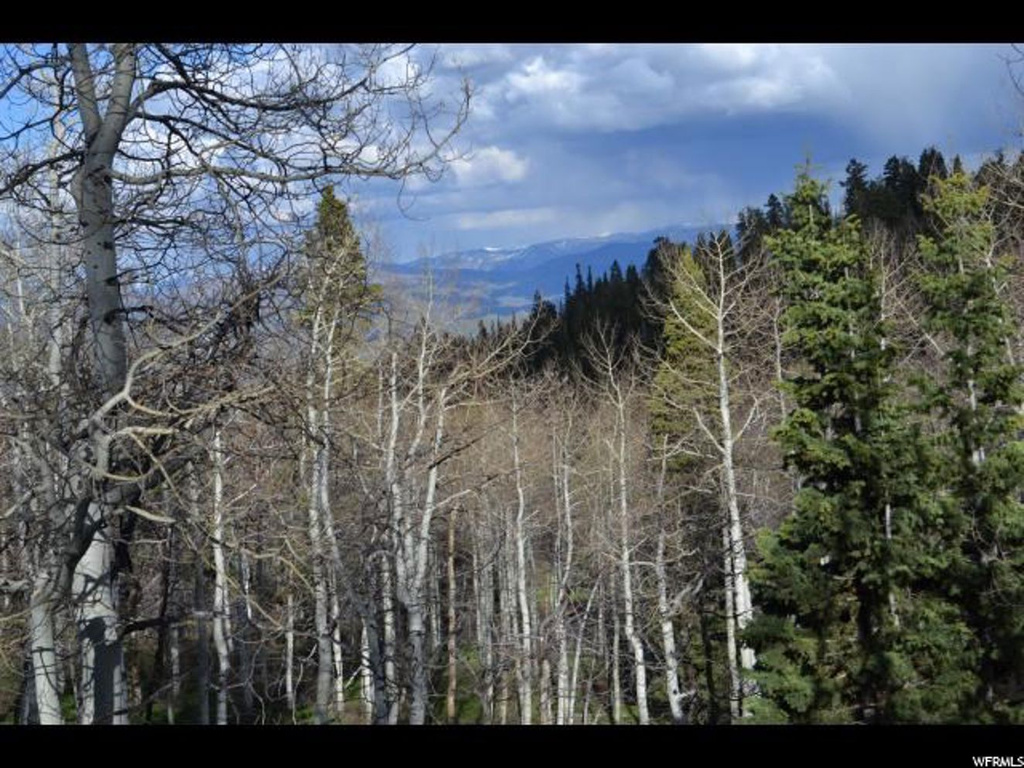 2103 S Pineloop Rd E #F42, Wanship, UT 84017