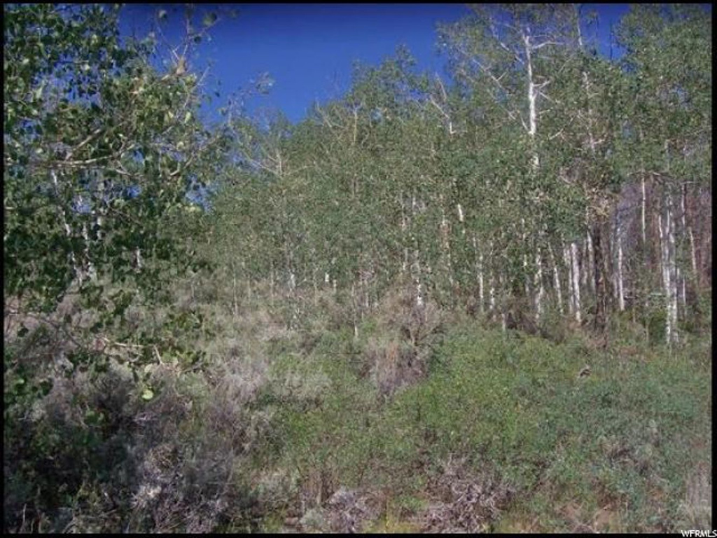 #221, Kamas, UT 84036