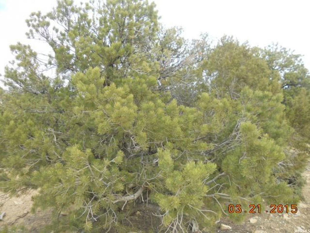 #7, Fruitland, UT 84027