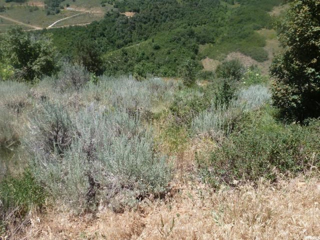 #44, Huntsville, UT 84317