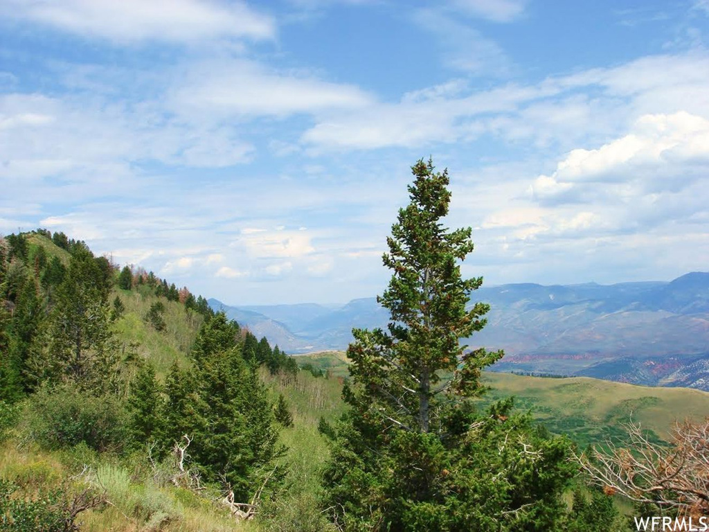 #31, Tabiona, UT 84072