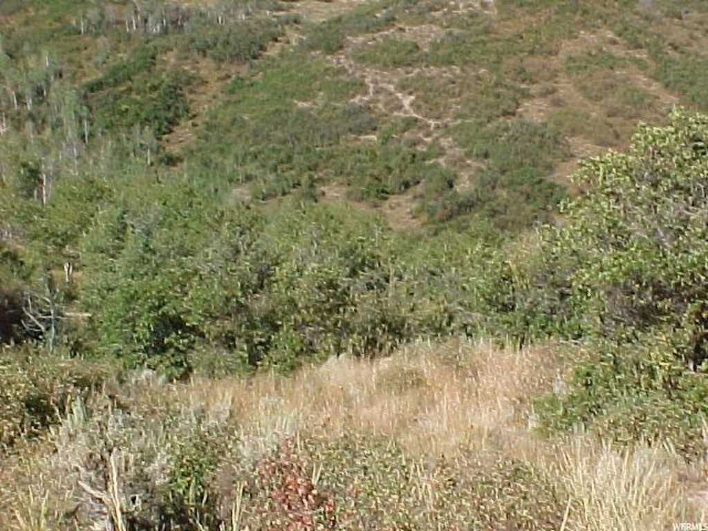 102 N Moosemountain Rd #102, Echo, UT 84024