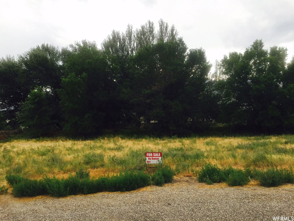 372 E 320 N, Annabella, UT 84711