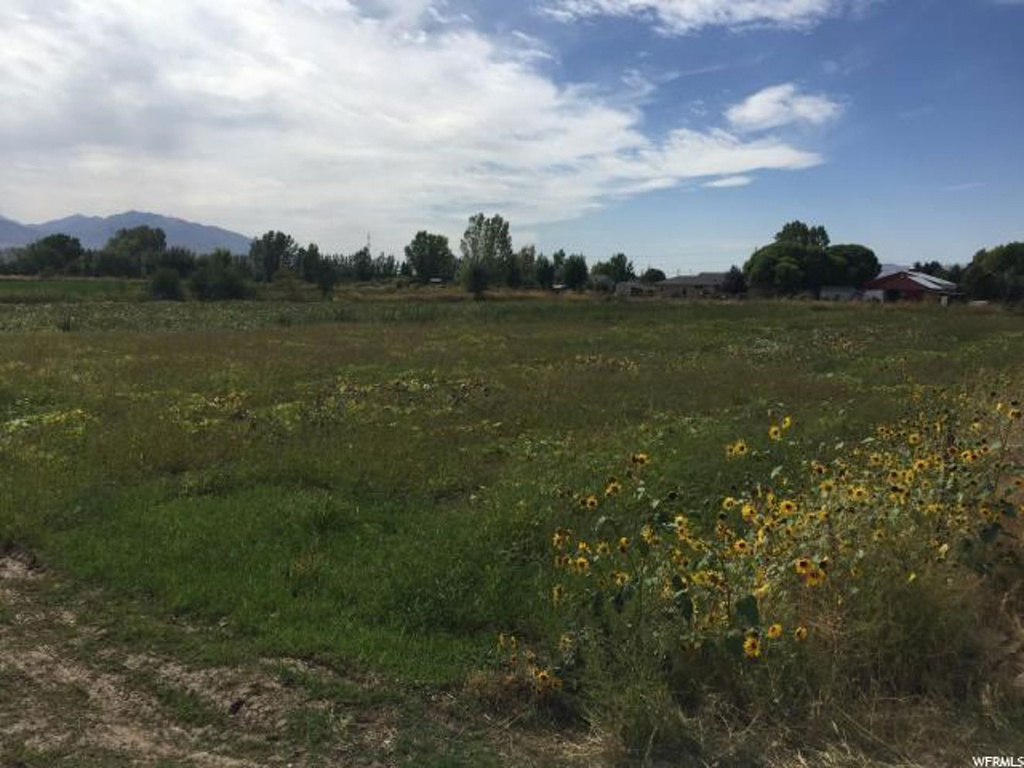 1800 W 1600 S, Mapleton, UT 84664