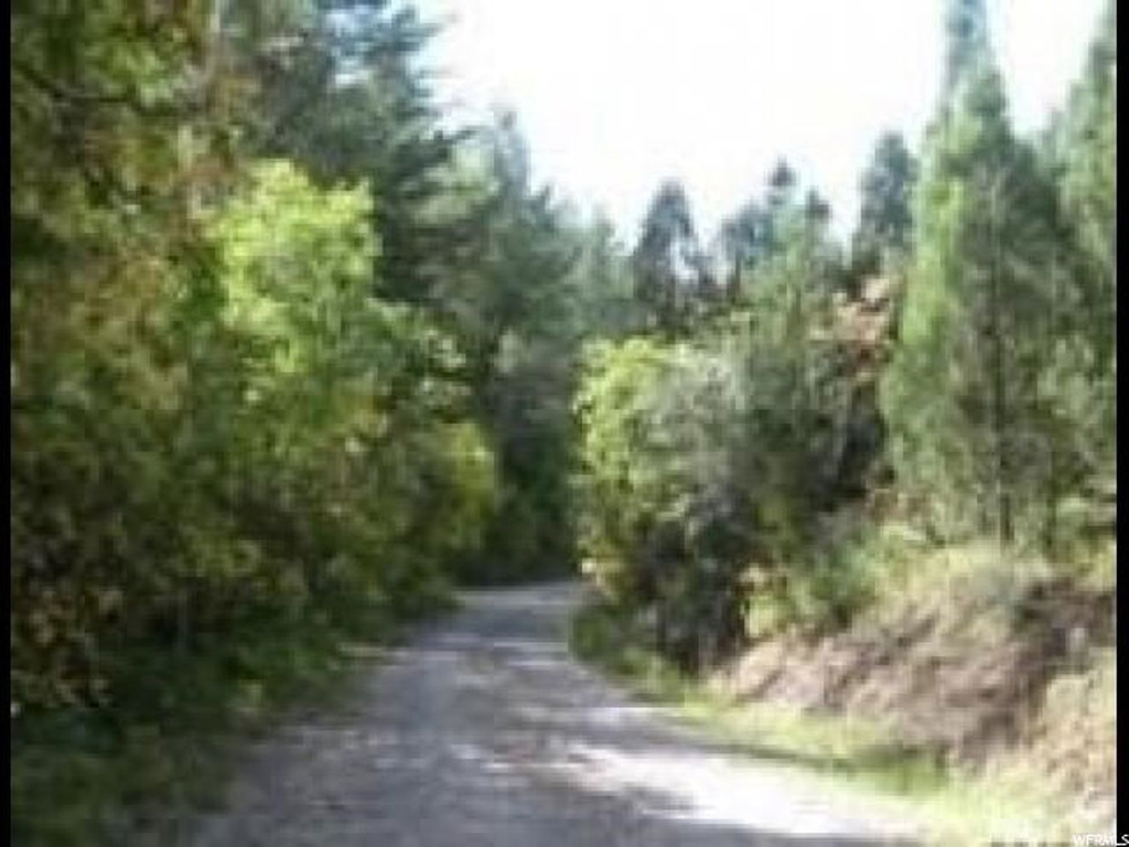 #6, Grace, ID 83241