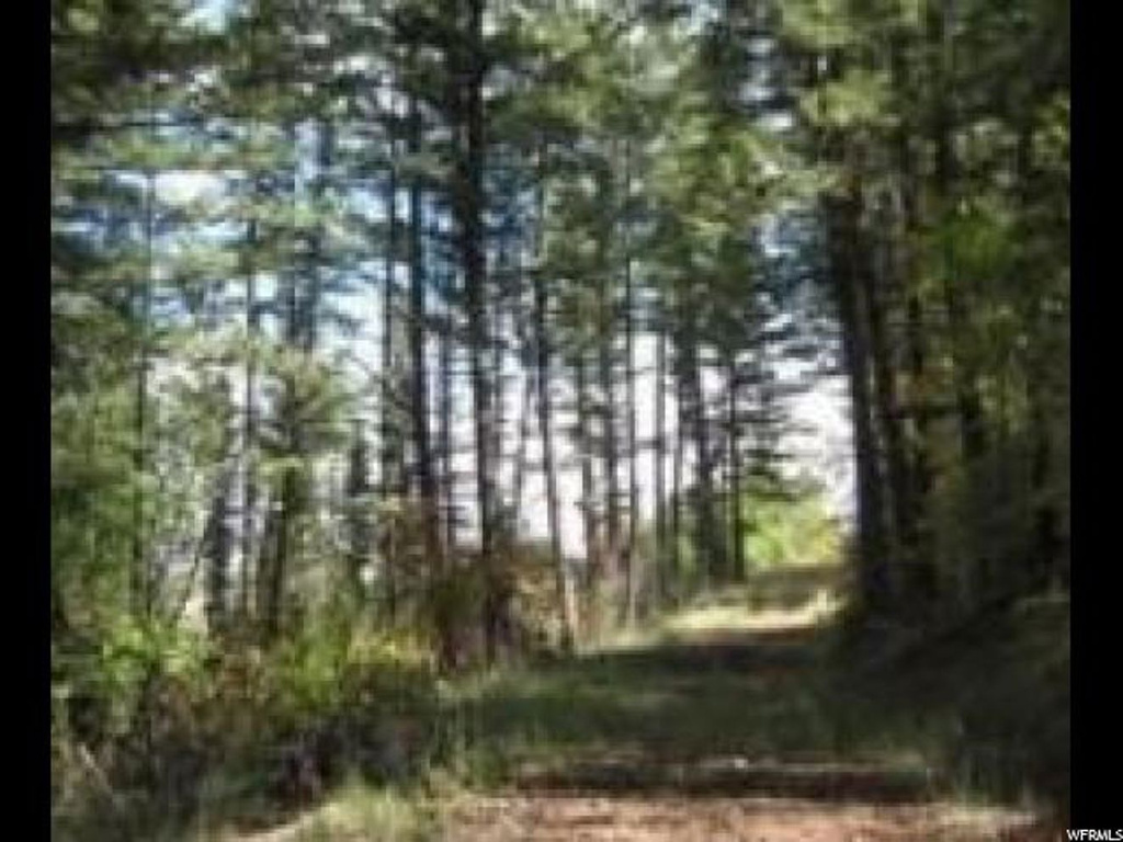 #3, Grace, ID 83241