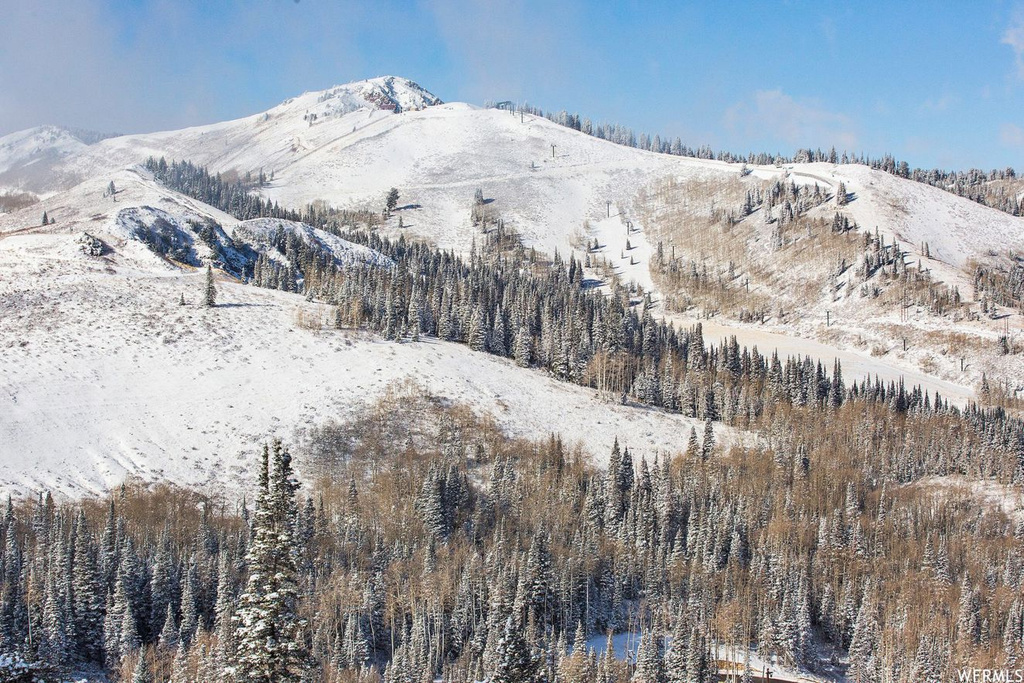 11 Ruby Hollow Dr #8, Park City, UT 84060