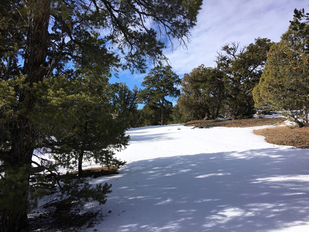 #10, Fruitland, UT 84027