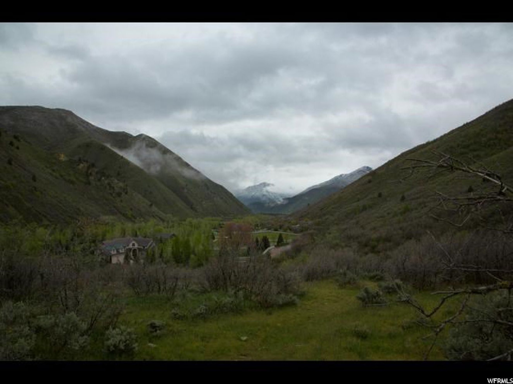 #8, Springville, UT 84663